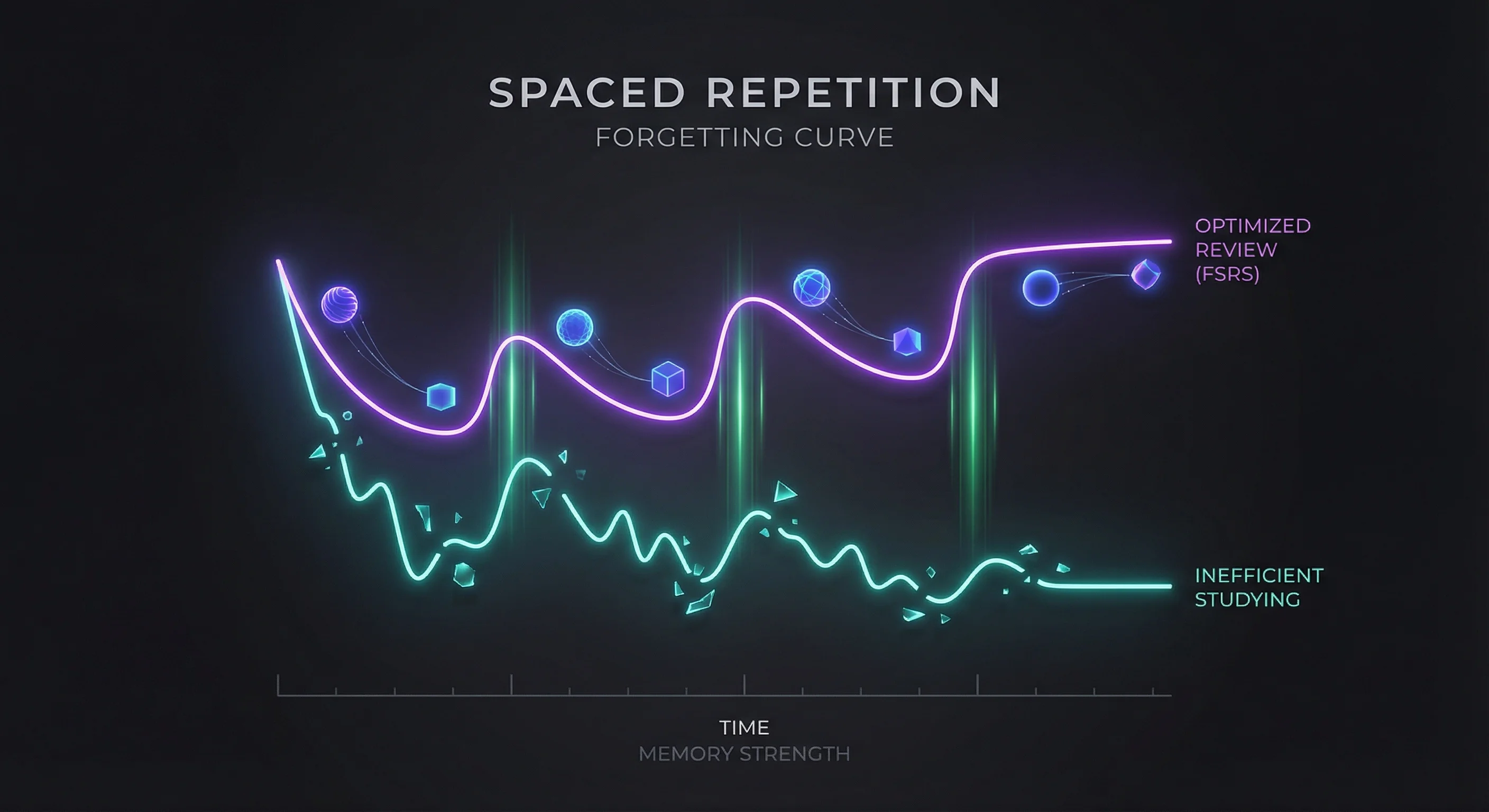 The Spaced Repetition Forgetting Curve optimized by FSRS